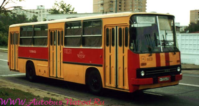 ������ 260 (11031)